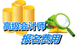 四川高級會(huì)計(jì)師考試報(bào)名費(fèi)用