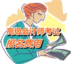 吉林省2015年高級會(huì)計(jì)師考試報(bào)名費(fèi)用