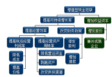 公司戰(zhàn)略與風險管理知識點