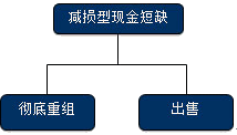 公司戰(zhàn)略與風險管理知識點
