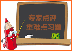 易錯(cuò)題專家點(diǎn)評(píng)