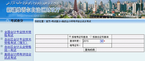 新疆2015高級會(huì)計(jì)師考試成績查詢?nèi)肟? width=
