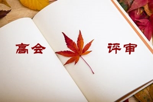 高級會計(jì)師申報(bào)評審要考職稱英語和計(jì)算機(jī)嗎