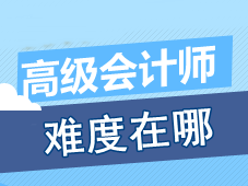 參加高級(jí)會(huì)計(jì)師考試的過程中 考生認(rèn)為最有難度的是什么