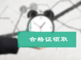 初級(jí)會(huì)計(jì)職稱證書(shū)