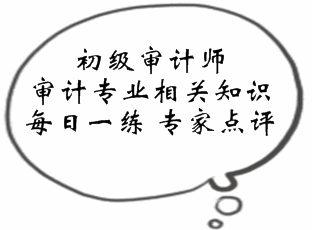 初級審計(jì)師《審計(jì)專業(yè)相關(guān)知識》易錯(cuò)題點(diǎn)評