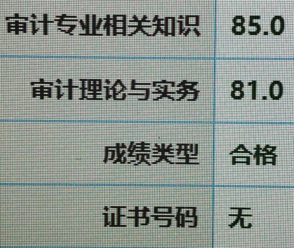 好樣的！零基礎(chǔ)頂住壓力高分拿下審計(jì)師