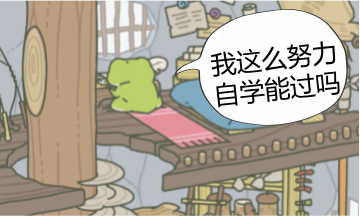 自學(xué)CPA能過(guò)嗎？