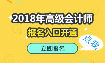廣西2018年高級(jí)會(huì)計(jì)師報(bào)名入口