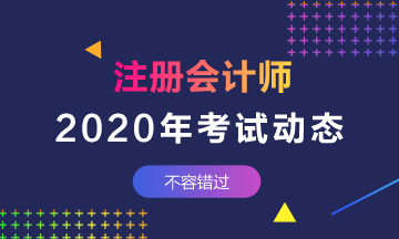 山東地區(qū)2020年注冊會(huì)計(jì)師什么時(shí)候考試？