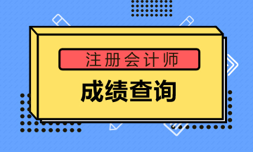 你了解2020遼寧注冊會計師成績查詢時間嗎？