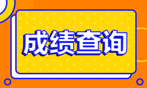 海南cpa考試2020年成績查詢時(shí)間