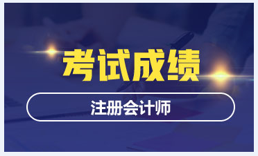 2020天津CPA考試成績(jī)查詢(xún) 你得知道這些