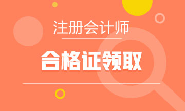 2020年福建cpa專業(yè)階段合格證去哪下載？