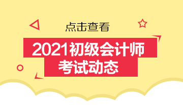 云南省2021年初級會計考試都考什么？