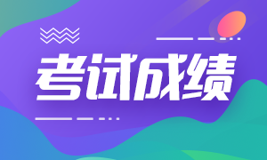 2021年西藏注冊會計師成績查詢時間是什么？