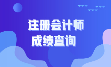 寧夏注會(huì)考試成績(jī)查詢的時(shí)間了解一下嗎？