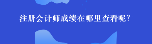 注冊會計(jì)師成績在哪里查看呢？44