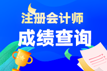 怎樣查詢2022年注冊(cè)會(huì)計(jì)師成績(jī)？