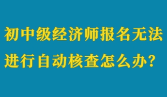 初中級(jí)經(jīng)濟(jì)師報(bào)名無法進(jìn)行自動(dòng)核查怎么辦？